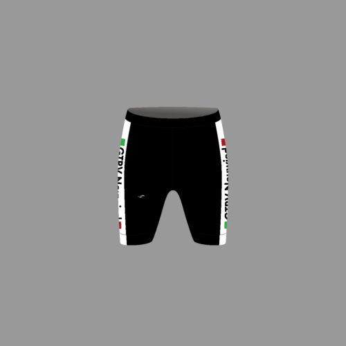 GTRVN Shorts Herren